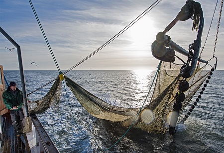 Sustainable Practices in the Seafood Industry: Making a Difference