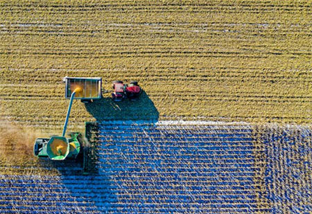 The History of Farming as a Business Model: A Brief Guide