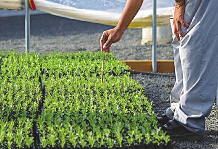 Agrochemical Sector to Register 12-14% Increase in Revenue: Report