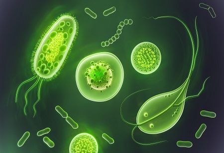 Generative AI, Latest Weapon Used to Combat Drug-Resistant Bacteria