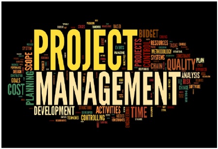 Consistent IT Project Management Solutions: Techstrank