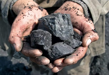 Power plants report record high coal stocks in August