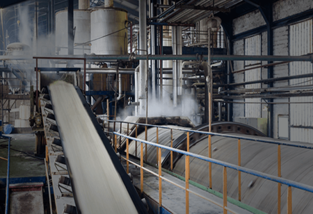  Temasek-owned Olam to trade Maharashtra Sugar plant to Wilmar-Renuka for Rs 350-500 crore
