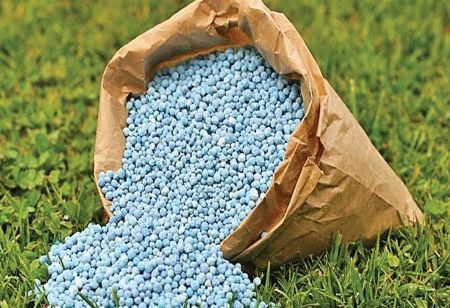 Government Makes Landmark Move Toward Chemical-Free Agriculture