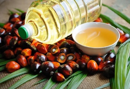 Cold Pressed Palm Oil To Grow At A CAGR Of 5.5% Until 2032