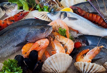 Sustainable Fishing to Increase the Supply of Seafood