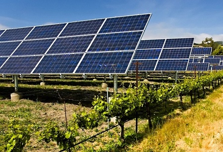 SJVN bags 200 MW solar project worth Rs 1,200 crore from GUVNL
