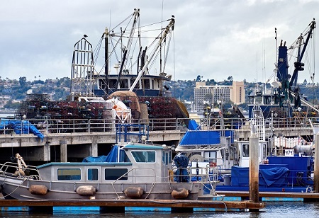 Indian shipbuilding Sector has a Huge Market For Commercial ships
