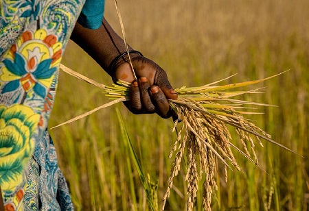 How Budget 2022 will affect the Agriculture Industry