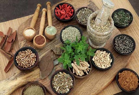 Export Promotion Council on the Anvil to Boost Export of AYUSH Products