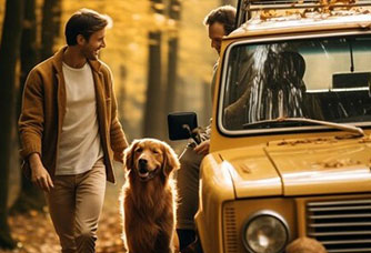 When Your Furry Friend Is Hit and the Driver Vanishes