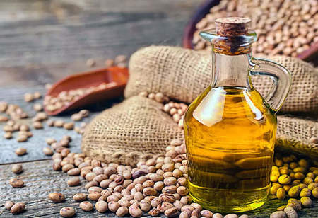 India to Lower Import Duty on edible oils