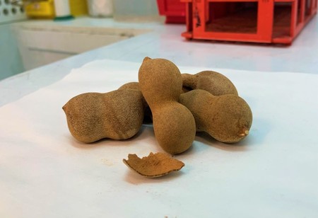 Researchers change tamarind shells into an energy source for vehicles