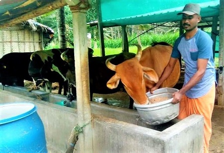 Rural Dairy Farmers in the State to Get 25,000 Shelters for Cows and Goats