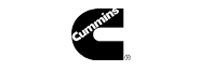  Cummins India