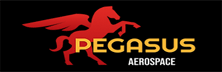 Pegasus Aerospace system & Engineering Services