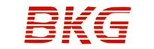 BKG Automotive