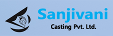 Sanjivani Casting