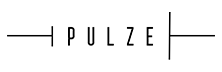 Pulze Batteries