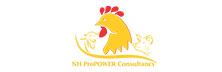 NH ProPower Consultancy Services
