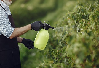 Nissan Chemical to Manufacture Ryzonic Herbicide in Gujarat Industry Outlook
