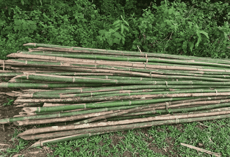  Bamboo Composite, traditional plastic components