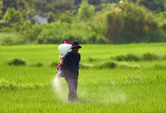 Indias Water-Soluble Fertiliser Import Hold Steady Despite China Curbs