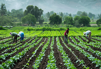 Union Budget 2026-27, Viksit Bharat