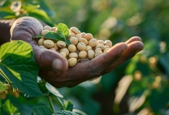 Bayer & ADM Expand Maharashtra Soybean Program to 100,000 Farmers