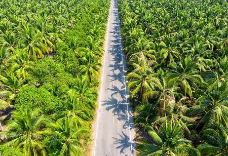 Value-Added Processing Redefining the Coconut Industry