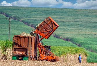 Nepal Taps India for Fertilizer Supply Amid Global Disruptions