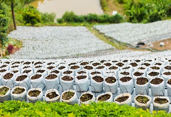 AgriStack Integration Set to Transform Fertilizer Supply Chain Industry Outlook