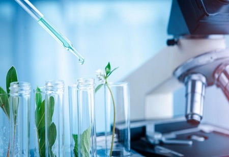  Advanced Biomanufacturing, Bioeconomy
