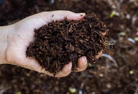 Vermicompost: Need of the Hour in Fertilizer Industry