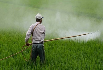 India's Fertiliser Sector Struggles, Industry Outlook